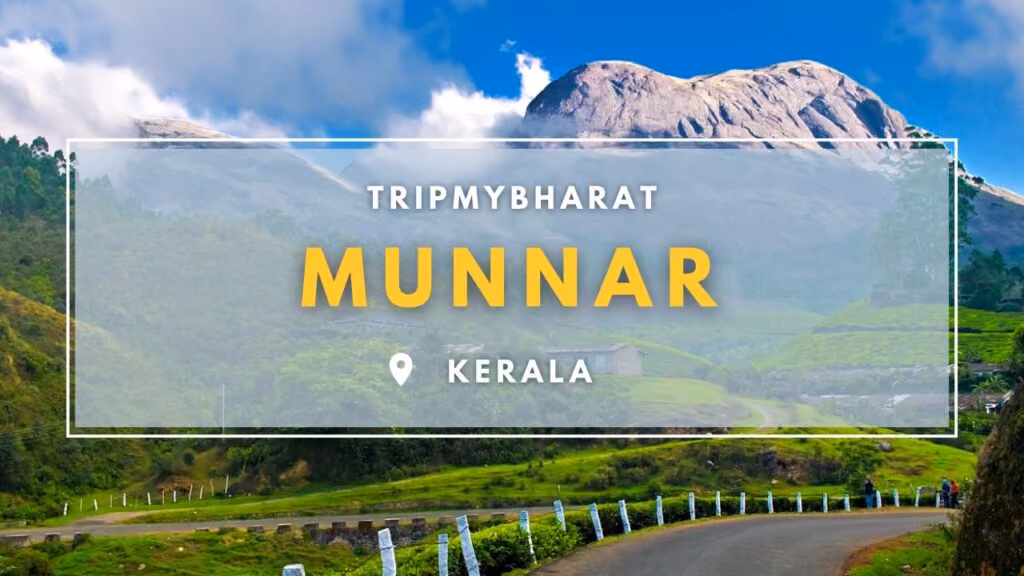 2 Night 3 Days Delhi to Kerala Tour guide – Kochi Munnar article image 2