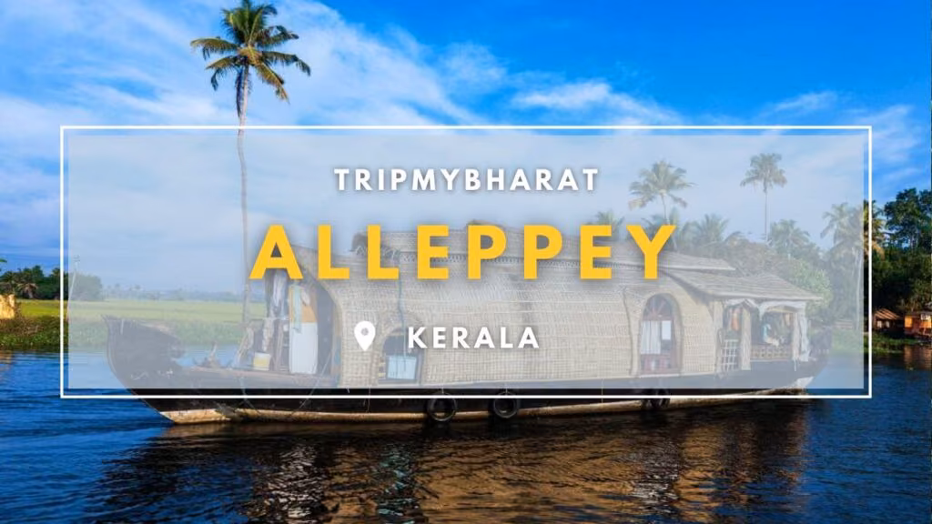 2 Night 3 Days Delhi to Kerala Tour guide – Kochi Munnar article image 3