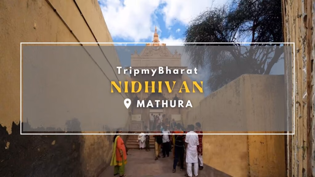 Varanasi to Mathura Trip Itinerary (3 Days) – Complete Travel article image 10