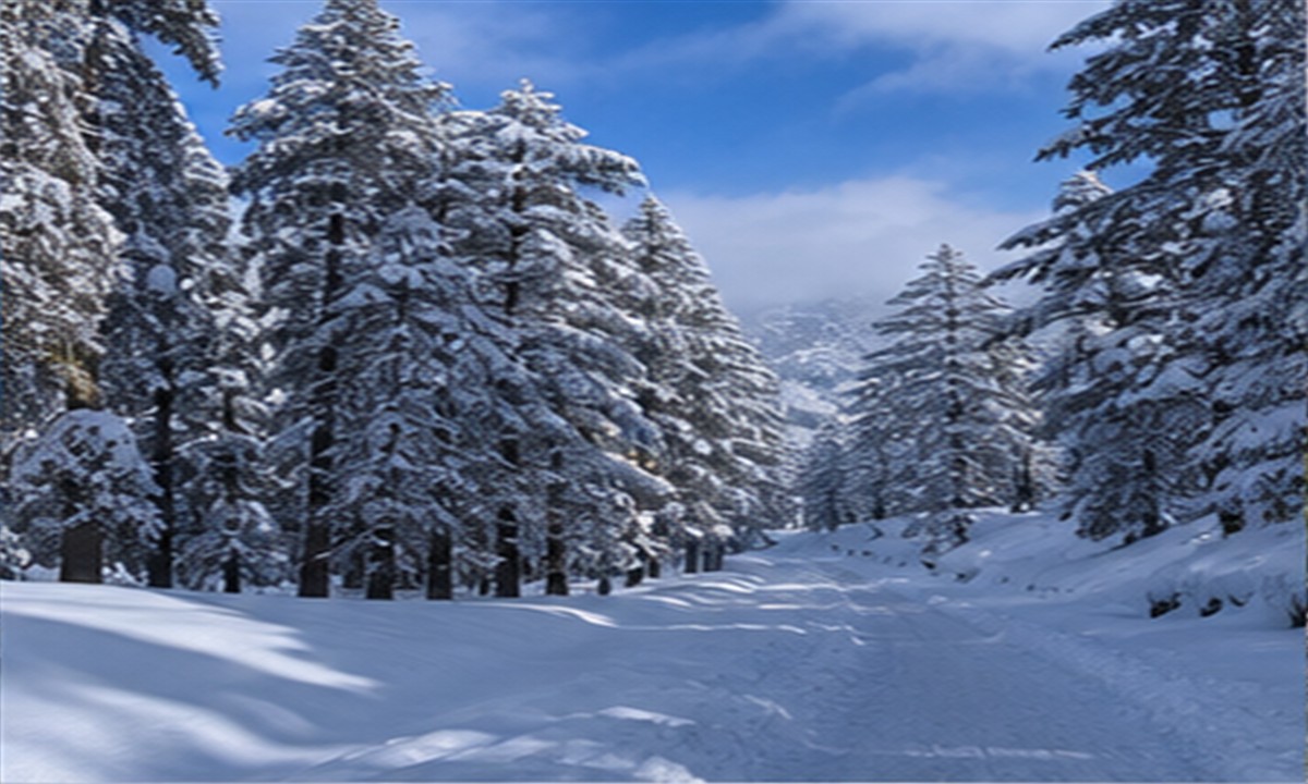 4 Days Manali and Solang Valley Tour Packages