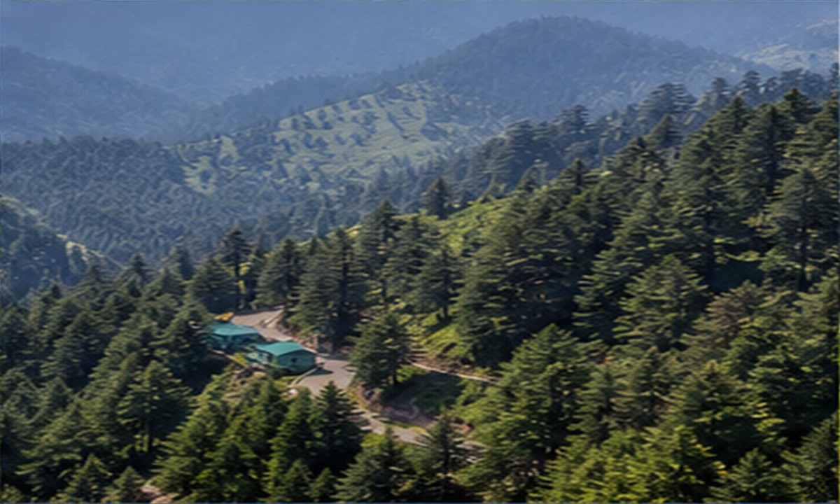 7 Days Shimla, Manali and Dharamshala Tour Packages