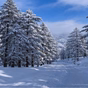 4 Days Manali and Solang Valley Tour Packages